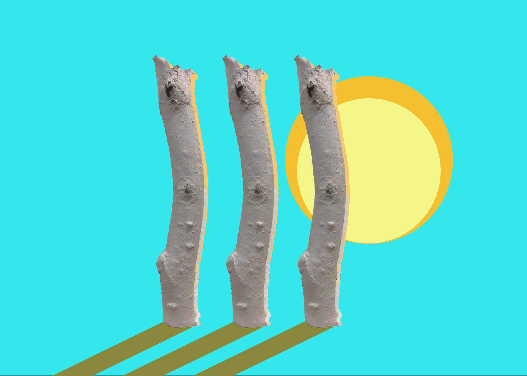 Once Upon A Tree, daily iterations