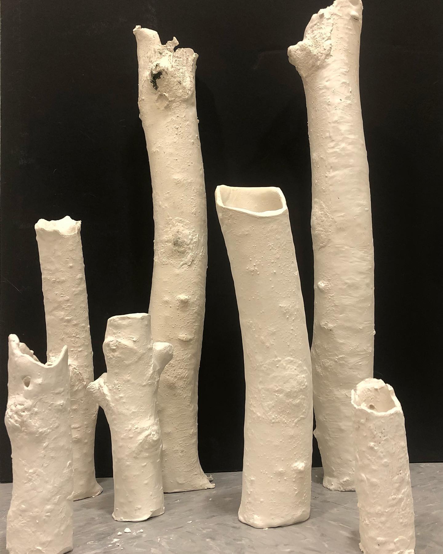 Garden of the TreeBones