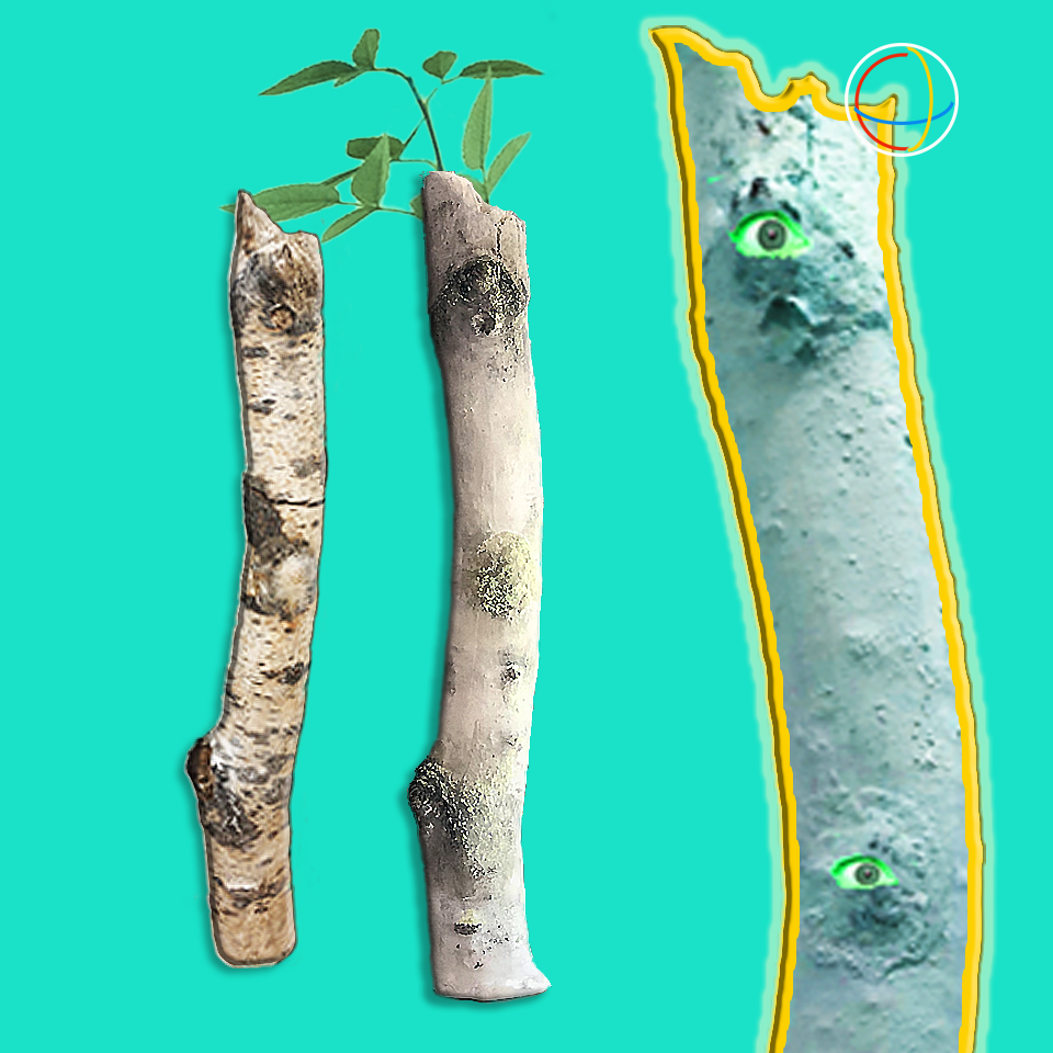 Order of the Princess Betula